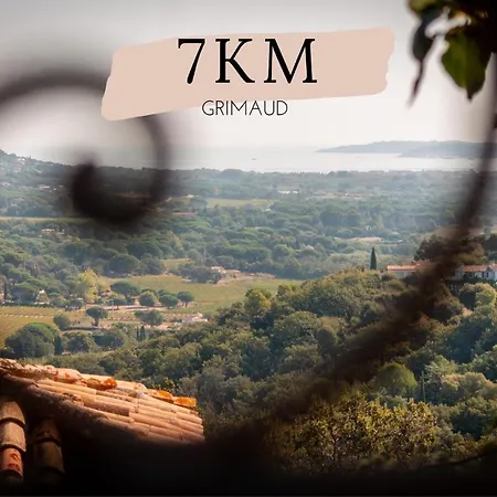 Le Ptit Terra - Piscine -